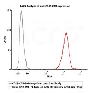 PE-Labeled Monoclonal Anti-FMC63 Antibody