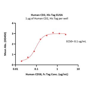 Human CD2 / SRBC Protein