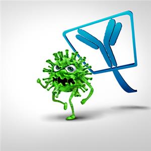 Human VEGFR2 Protein