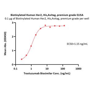 Biotinylated Human Her2 / ErbB2 Protein