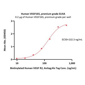 Human VEGF165 Protein