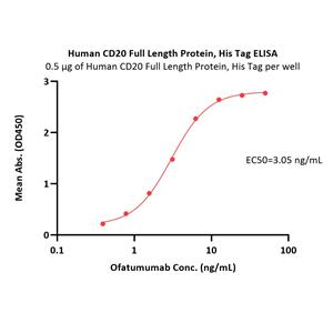 Human CD20 / MS4A1 Full Length Protein