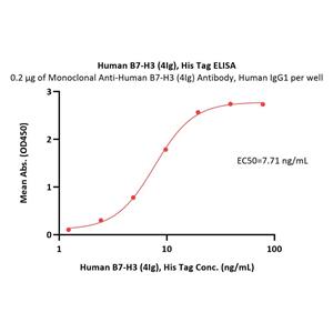 Human B7-H3 (4Ig) / B7-H3b Protein