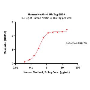 Human Nectin-4 Protein