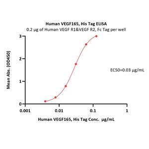 Human VEGF165 Protein