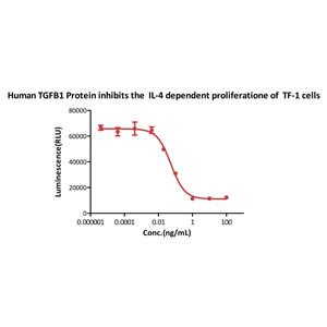 Human TGF-Beta 1 / TGFB1 Protein