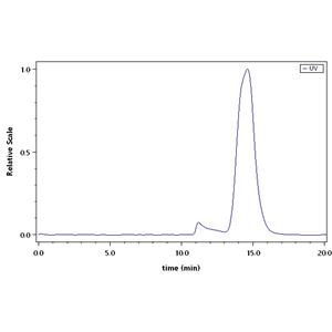 Biotinylated Human TGF-beta RII / TGFBR2 Protein