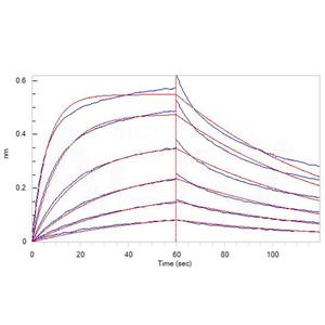 Human OX40 / TNFRSF4 / CD134 Protein