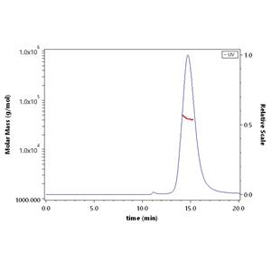 Human ASGR1 / ASGPR1 Protein