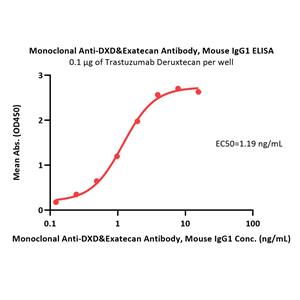 Monoclonal Anti-DXD&Exatecan Antibody