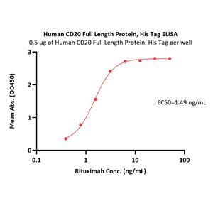 Human CD20 / MS4A1 Full Length Protein