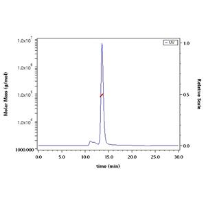 Human PTK7 / CCK4 Protein