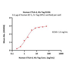 Human CTLA-4 / CD152 Protein