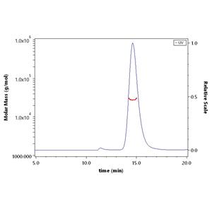 Biotinylated Human 4-1BB / TNFRSF9 Protein