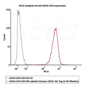 PE-Labeled Human CD19 (20-291) Protein