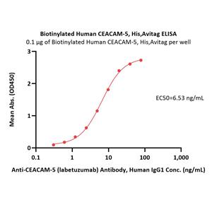 Biotinylated Human CEACAM-5 / CD66e Protein