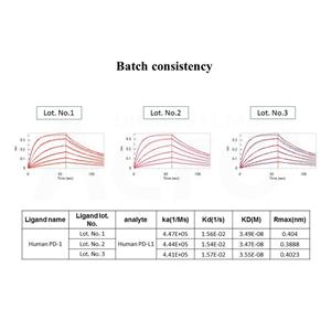 Biotinylated Human PD-1 / PDCD1 Protein