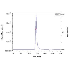 Human PSMA / FOLH1 Protein