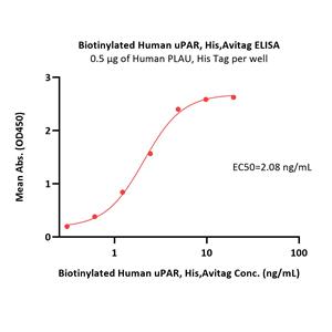 Biotinylated Human uPAR / PLAUR Protein