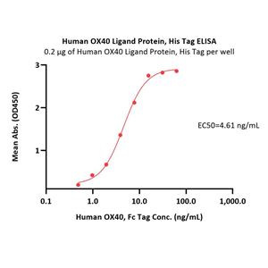 Human OX40 Ligand / TNFSF4 Protein