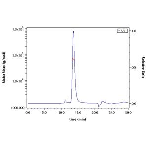 Human OX40 Ligand / TNFSF4 Protein
