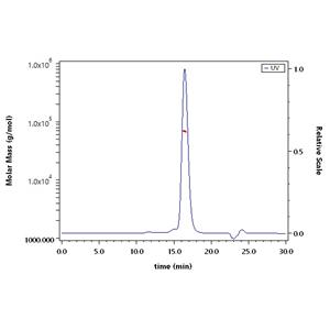 Biotinylated Human OX40 Ligand / TNFSF4 Protein