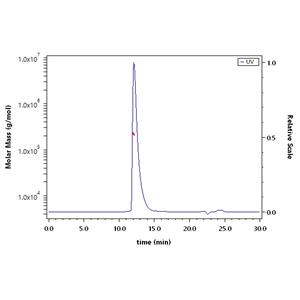Biotinylated Human CEACAM-5 / CD66e Protein