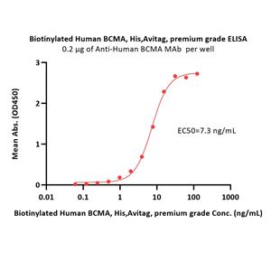 Biotinylated Human BCMA / TNFRSF17 Protein