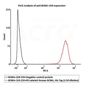 PE-Labeled Human BCMA / TNFRSF17 Protein