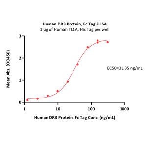 Human DR3 Protein