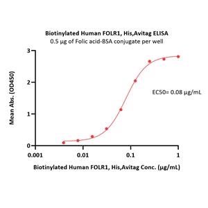 Biotinylated Human FOLR1 Protein