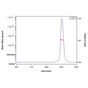 Human TROP-2 / TACSTD2 Protein