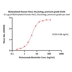 Biotinylated Human Her2 / ErbB2 Protein