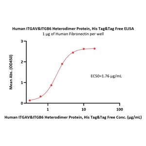Human Integrin alpha V beta 6 (ITGAV&ITGB6) Heterodimer Protein