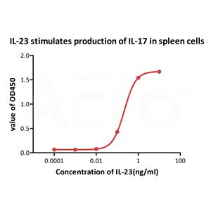 Biotinylated Human IL-23 alpha&IL-12 beta Heterodimer Protein