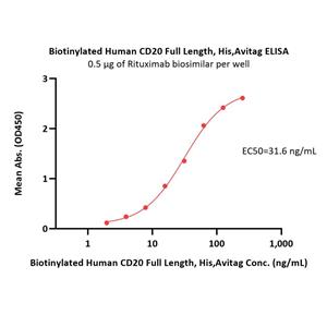 Biotinylated Human CD20 / MS4A1 Full Length Protein