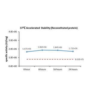 GMP Human VEGF165 Protein