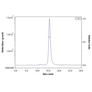 Biotinylated Human BAFF / TNFSF13B / CD257 Protein