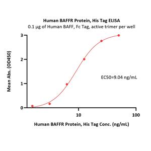Human BAFFR / TNFRSF13C Protein