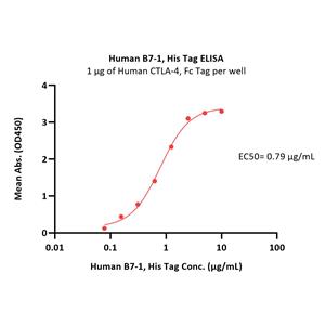 Human B7-1 / CD80 Protein