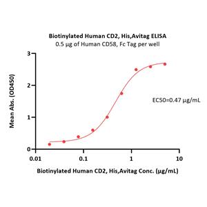 Biotinylated Human CD2 / SRBC Protein
