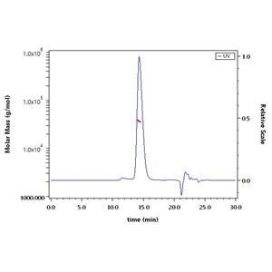 Human Fc gamma RIIIB / CD16b (NA1) Protein