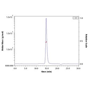 Human CD40 / TNFRSF5 Protein