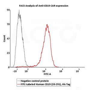 FITC-Labeled Human CD19 (20-291) Protein