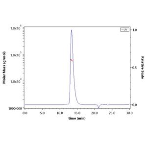 Human Siglec-3 / CD33 Protein