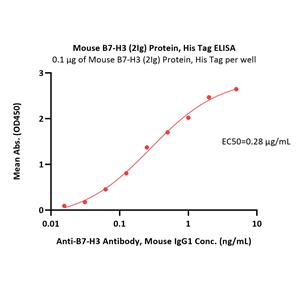 Mouse B7-H3 (2Ig) / CD276 Protein