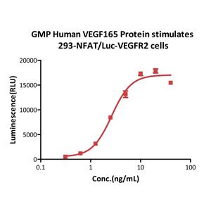 GMP Human VEGF165 Protein