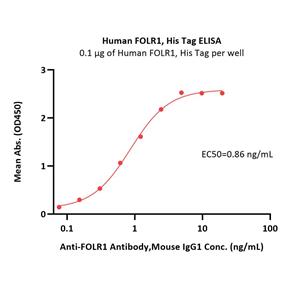 Human FOLR1 Protein