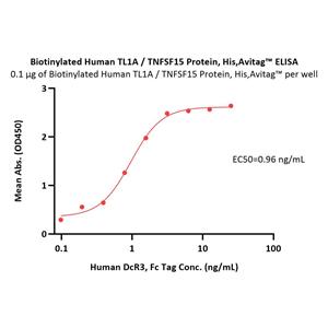 Biotinylated Human TL1A / TNFSF15 Protein