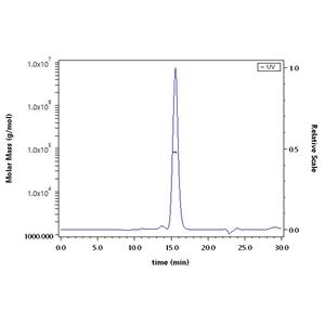 Biotinylated Human Her2 / ErbB2 Protein